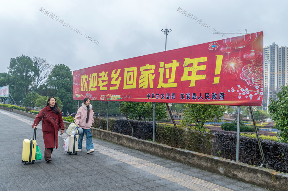 春节  花坛  宣传牌  节日气氛