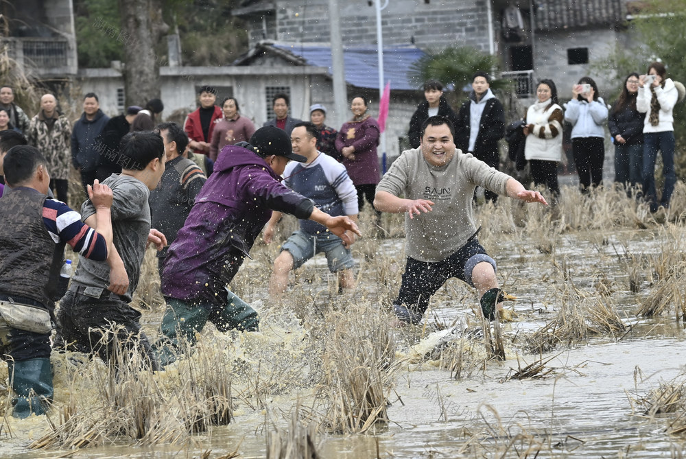 春节 过年 文化活动 民俗 抢鸭子
