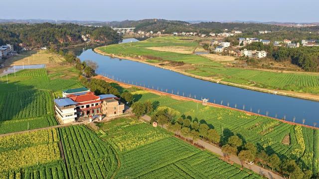 常宁  塘湾  油菜花  美景