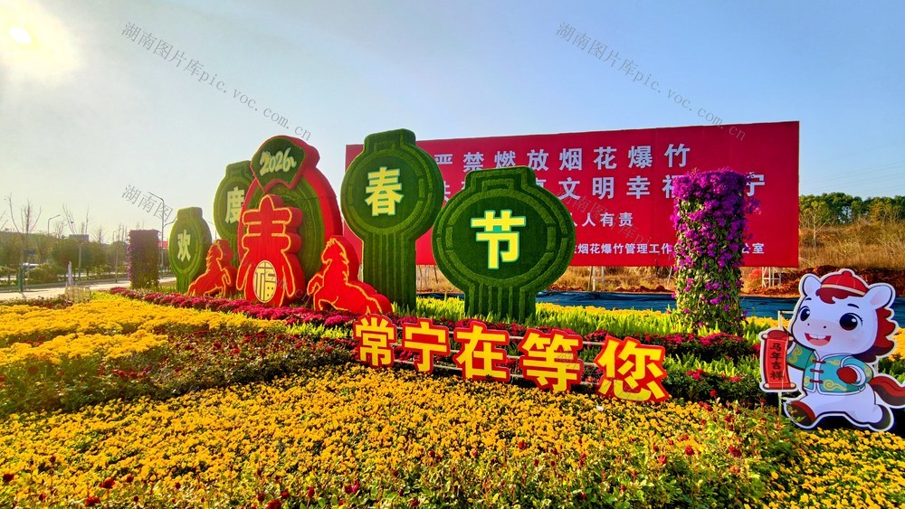常宁  春节  鲜花  美景