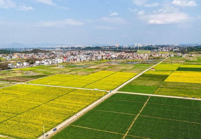 湖南道县：春回大地如画卷