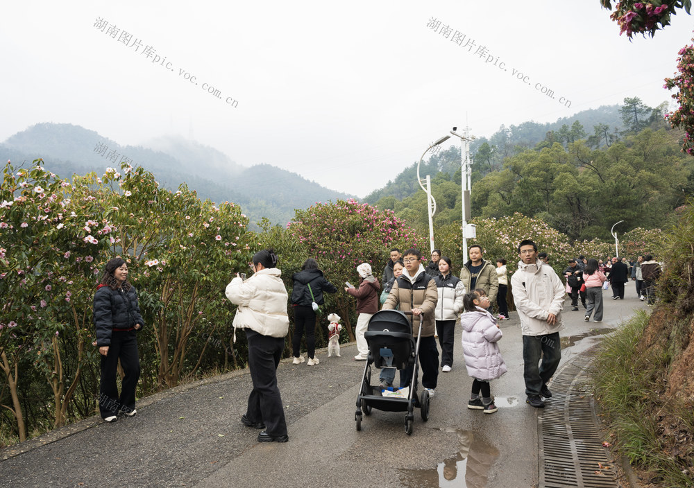 春节，登高，健康，快乐，慢生活。