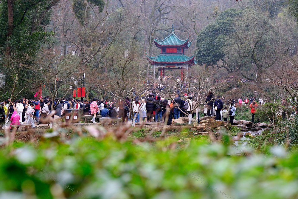 爱晚亭，游人如织