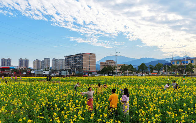 蓝山：油菜花开引客来