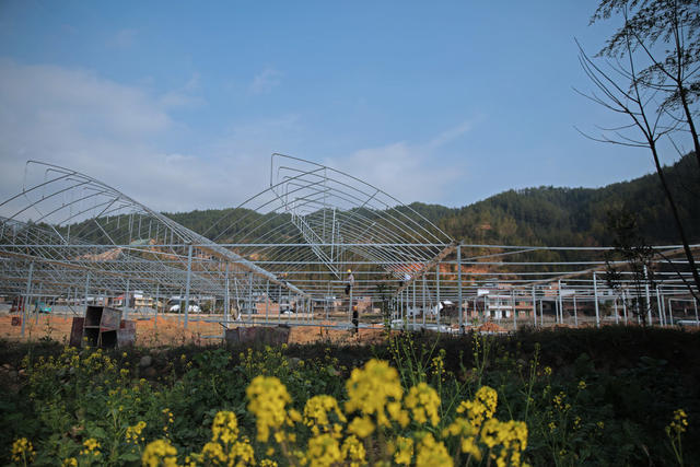 湖南桂东：人勤春早 智慧蔬菜大棚“ 欣荣生态农业有限公司”