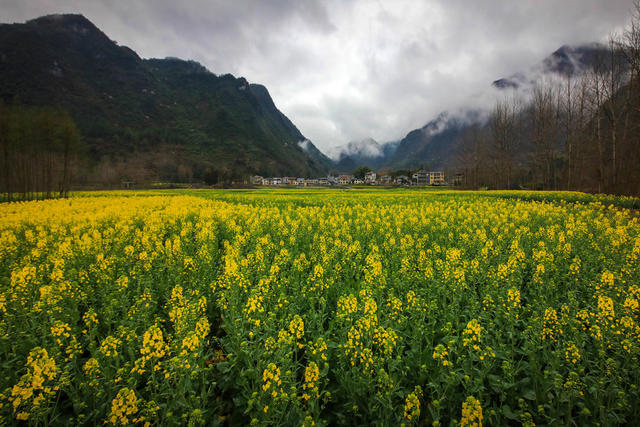 湖南，龙山，村庄，春天，生机勃勃