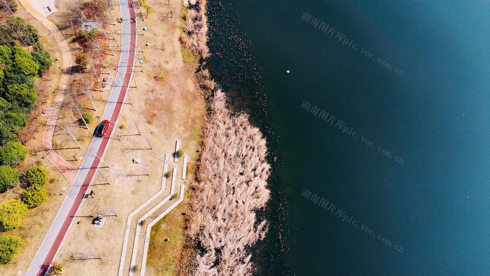 湿地 公园 湖 水