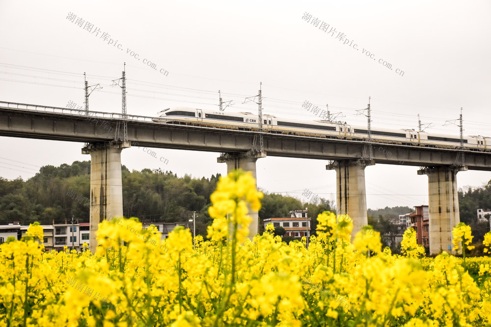 花田焕彩 振兴提速
