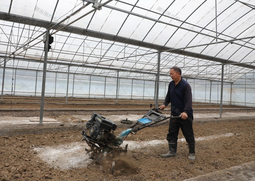       人勤春早劳作忙     