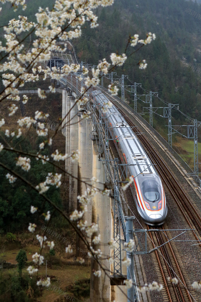 湖南，龙山，列车，春天，山花，画卷