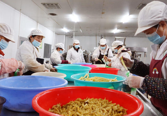 竹笋  加工 产业 链条  城步 乡村振兴