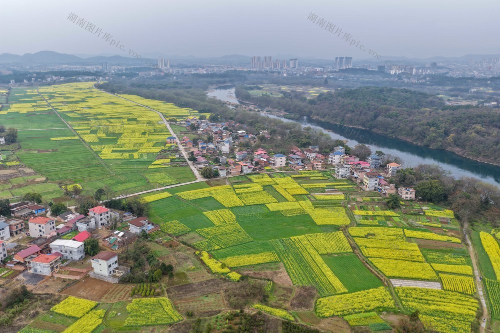 湖南道县：春染大地乡村美