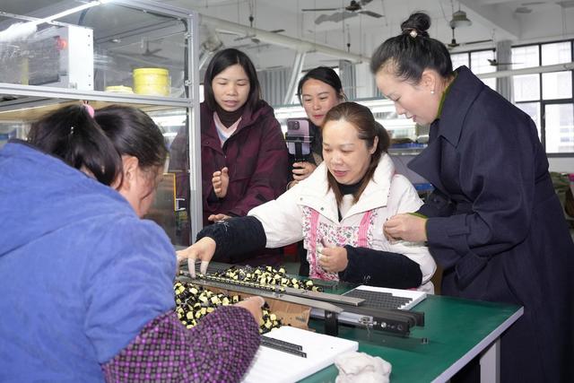 就业、直播、带岗、就业服务、人社