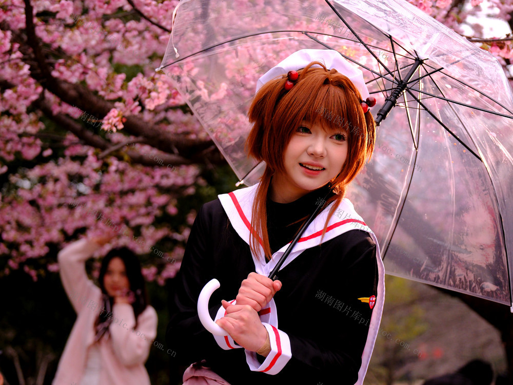 樱花绽放，晓园公园