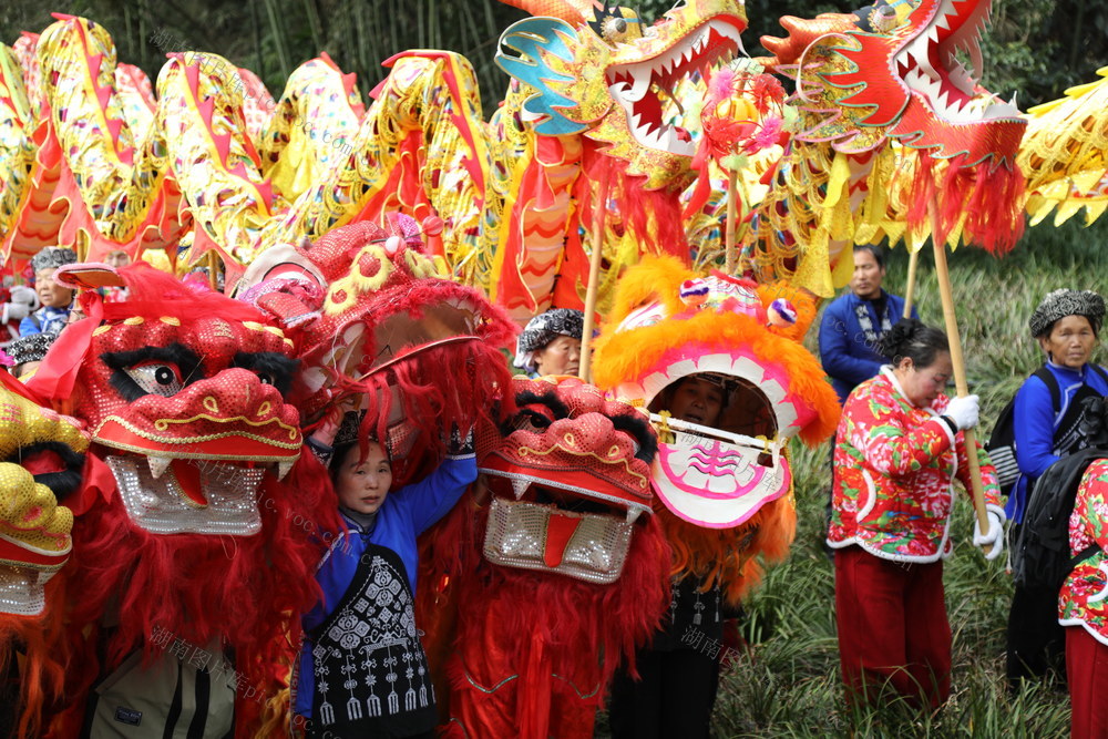 丹青 调年节 民俗 祭祀 舞龙 舞狮