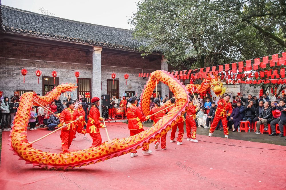 元宵 舞龙 活动 喜庆 节日