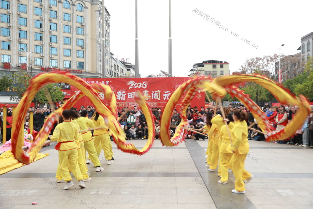 新田 龙腾 狮跃 闹 元宵