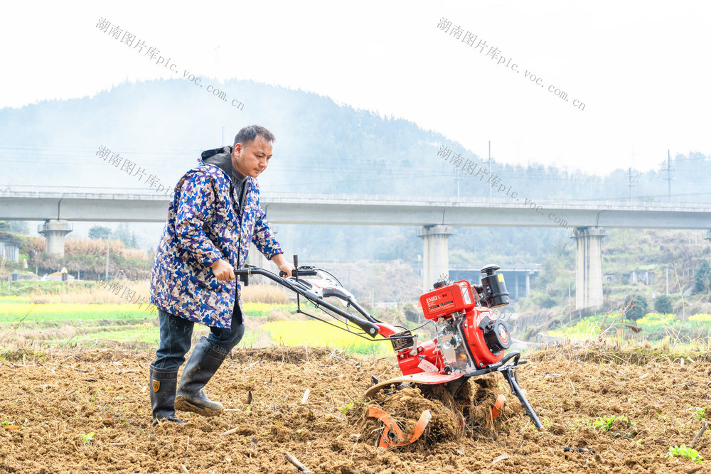 惊蛰时节   进入春耕忙碌季