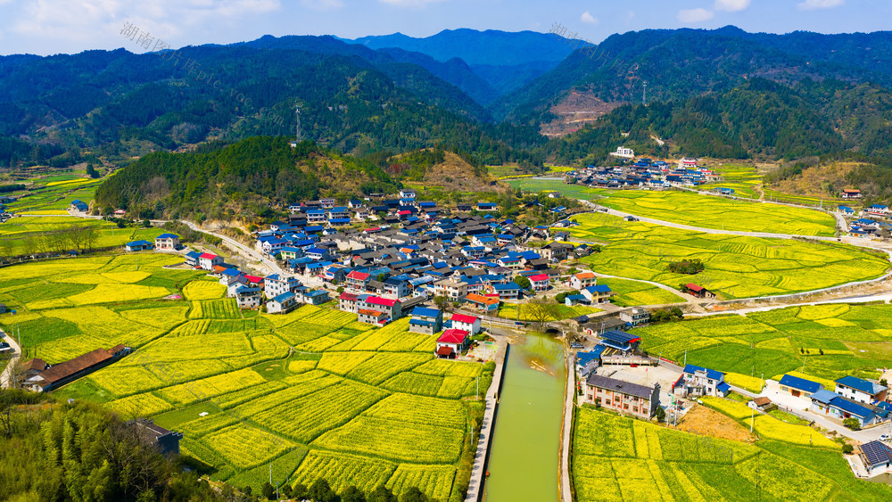 农村  种植  油菜花  古村落  高铁  怀化中方