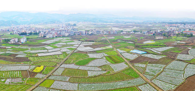 临武：田园春色美