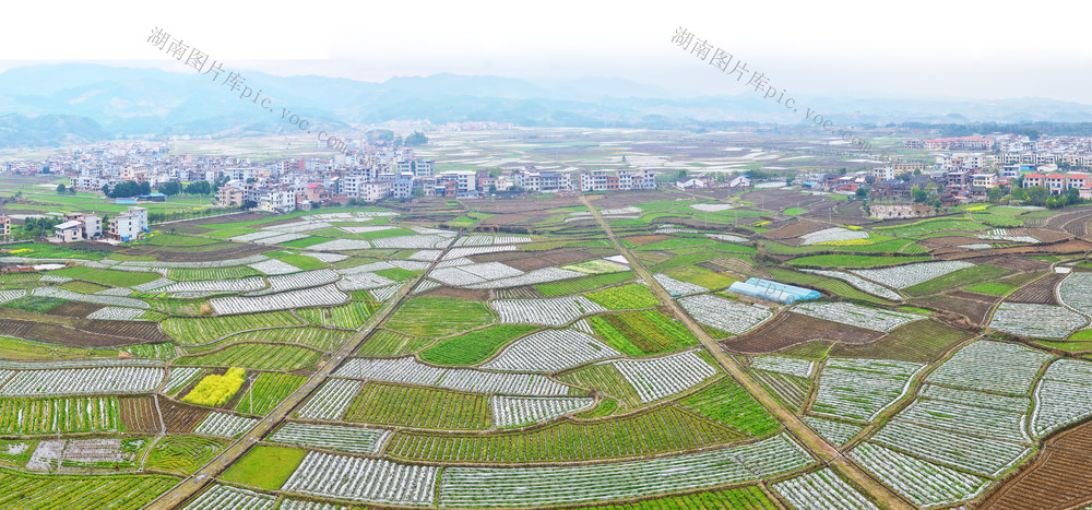 临武：田园春色美