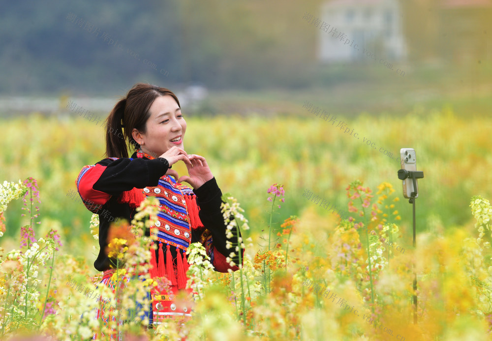 蓝山：七彩花田享春光