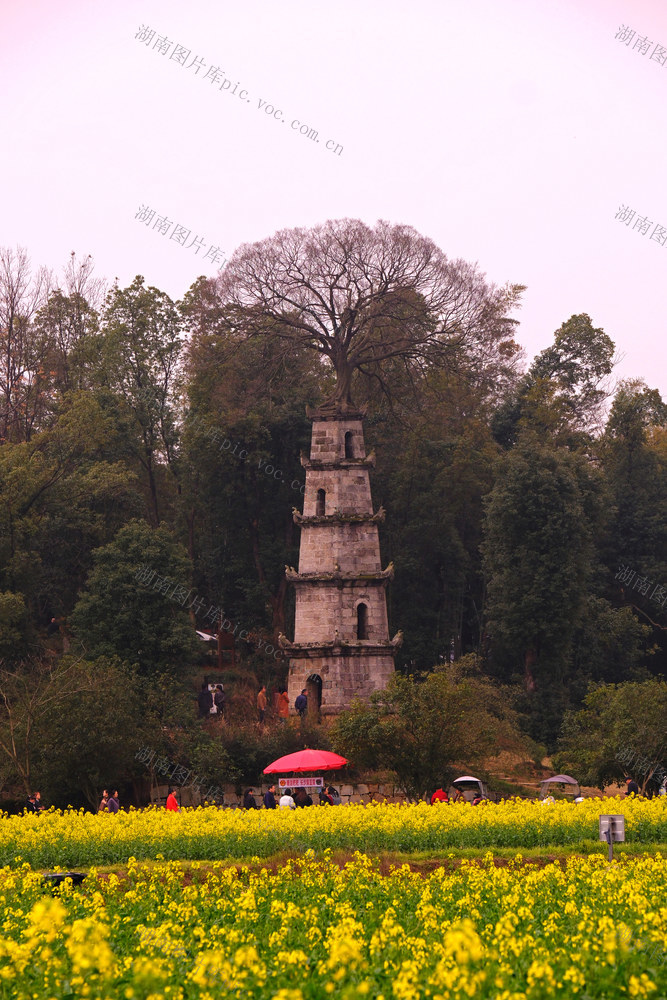 茶亭镇九峰山村，美丽乡村