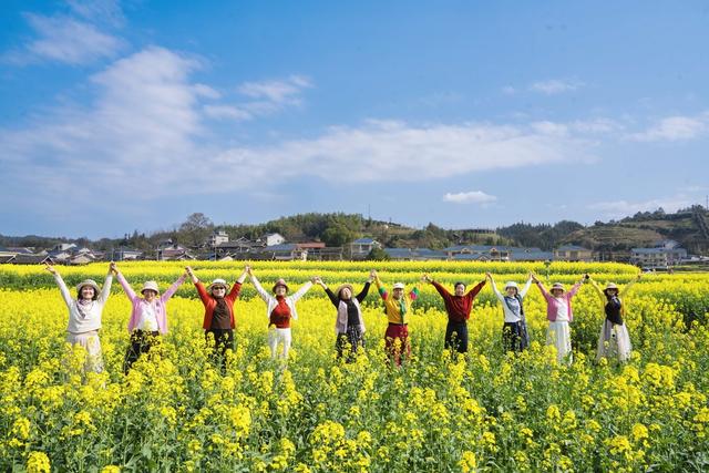 美丽乡村  乡村旅游  农旅   油菜花   春季   
