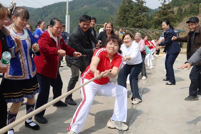 妇女节、三八节、拔河赛、体育、节日