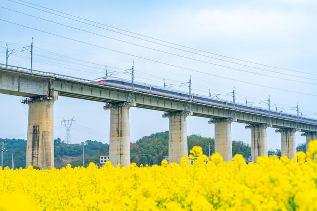 春天 高铁 油菜花