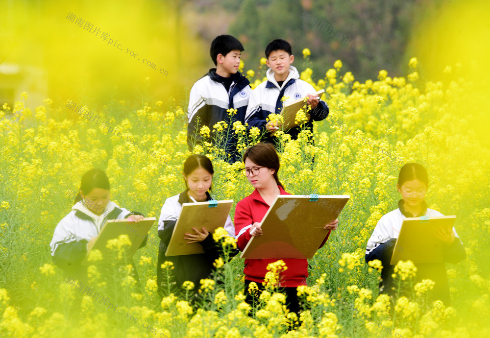 嘉禾：田间课堂绘春光