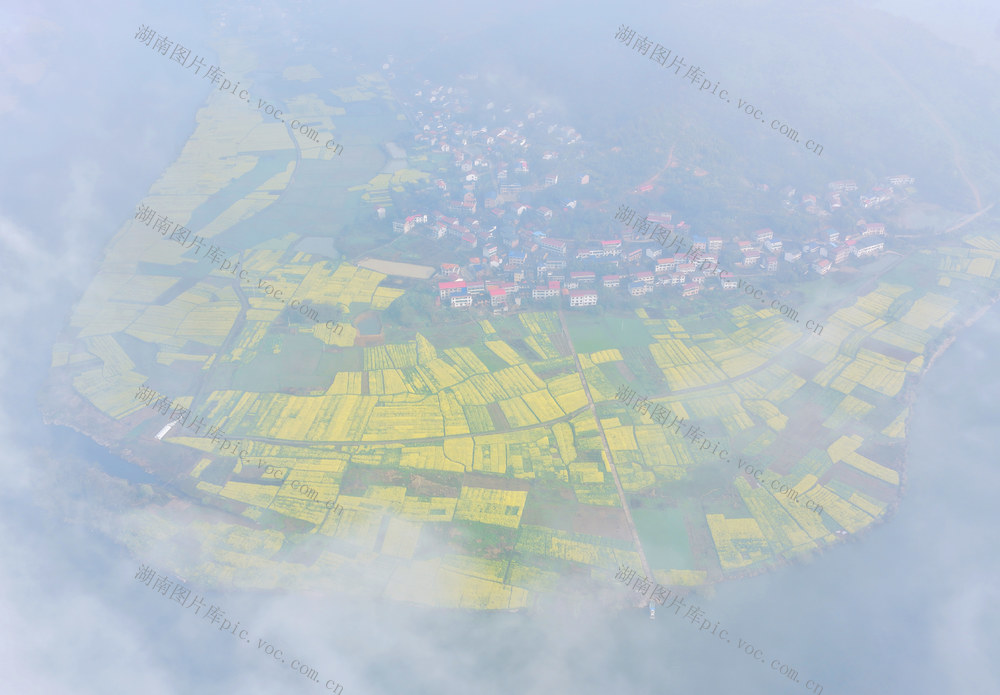 田园 油菜花 春日 美景