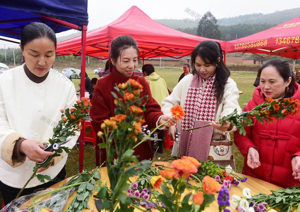 嘉禾：学花艺 庆“三八”