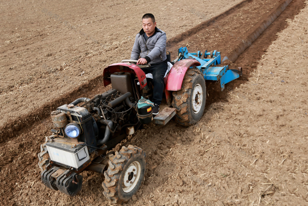 春耕生产，开沟起垄，耕耘，田地，温棚，草莓，采摘，称重，农时，农事，农民