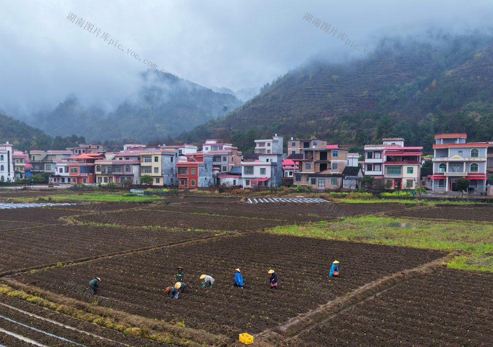 蓝山：春雨润春耕 田间农事忙