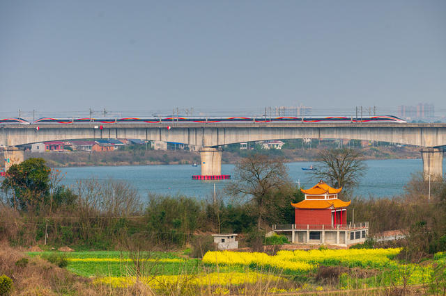 春天 开往春天的列车 京广高铁 复兴号 湘江 交通 运输 春运