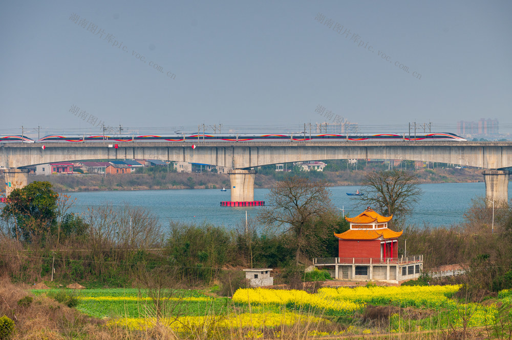 春天 开往春天的列车 京广高铁 复兴号 湘江 交通 运输 春运