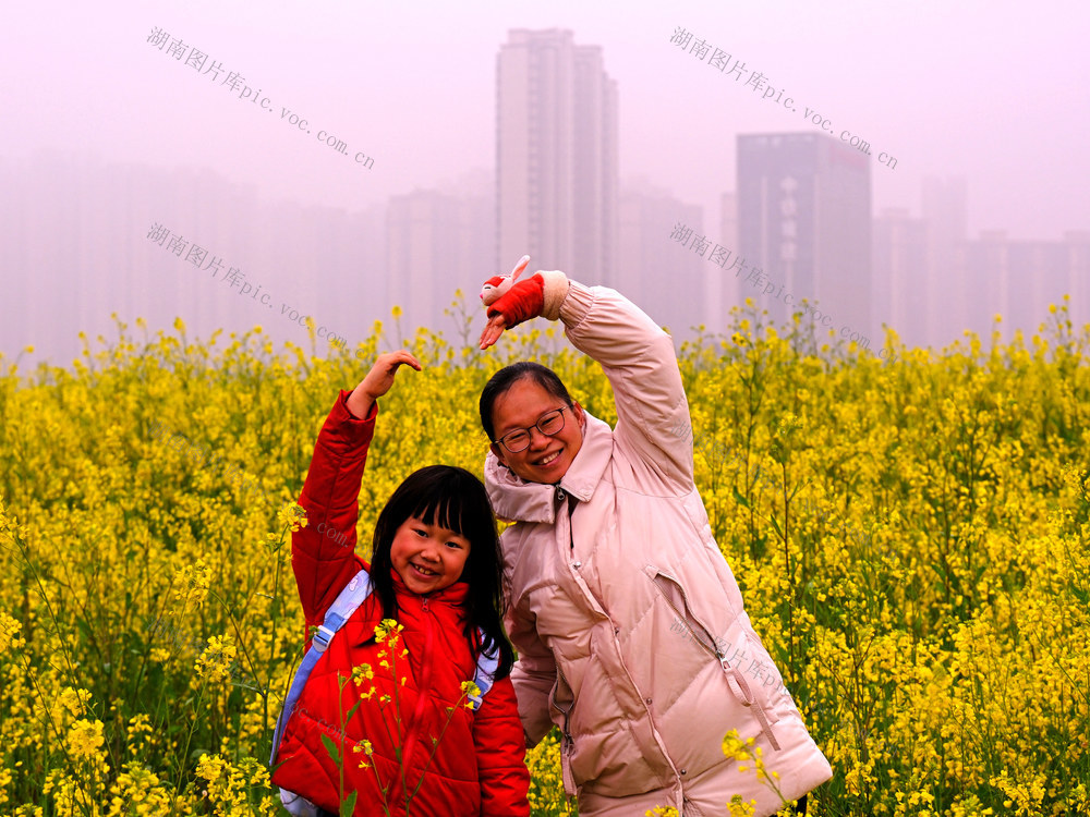 油菜花开，洋湖湿地