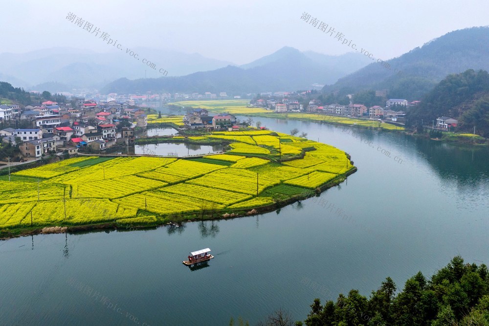 春日  乡村  生态  文旅  油菜花  水乡