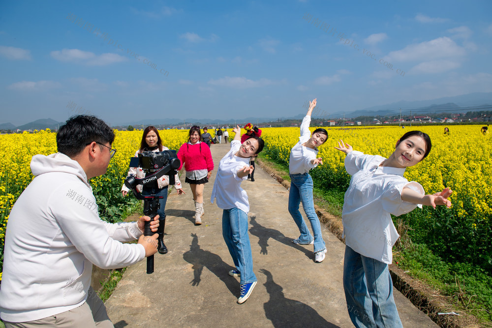 金色花海醉游人 油菜花开