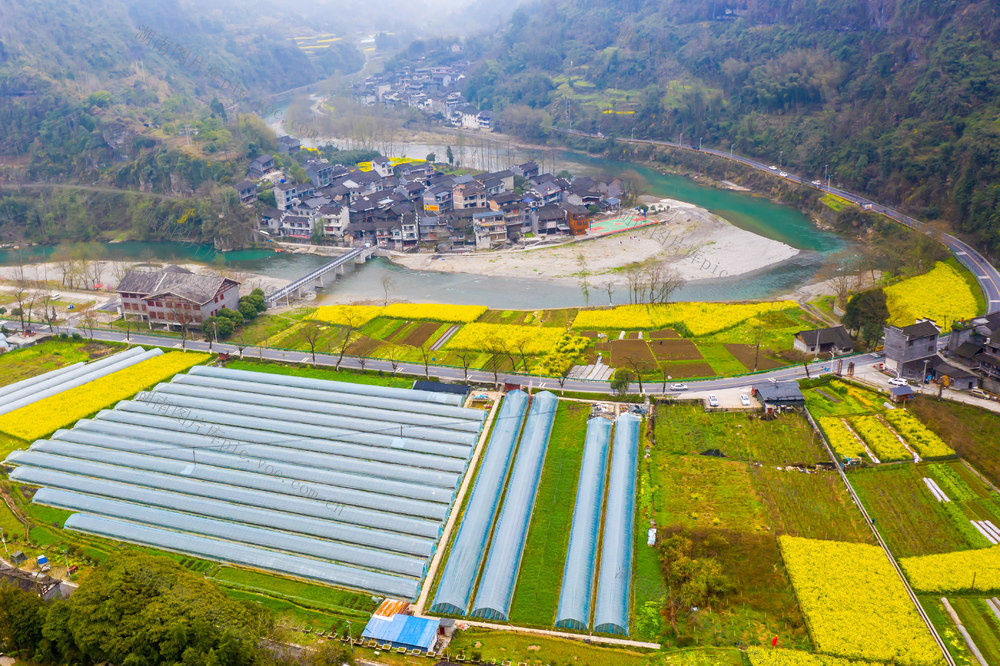 春天  油菜  矮寨  坪朗村  苗寨