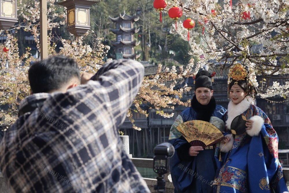 文旅 春天 春花 旅拍 5A景区 经济发展 凤凰古城 