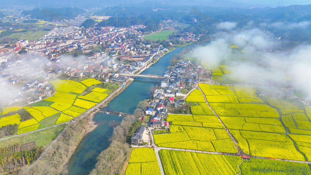 浏阳 油菜花 达浒