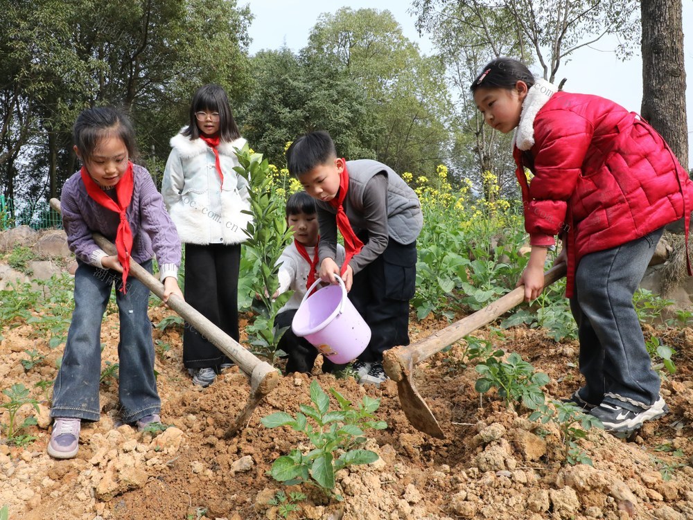 三月春光好       师生植树忙
