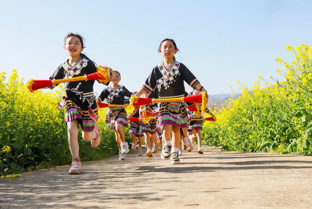 研学  课堂  乐享  春光   油菜花