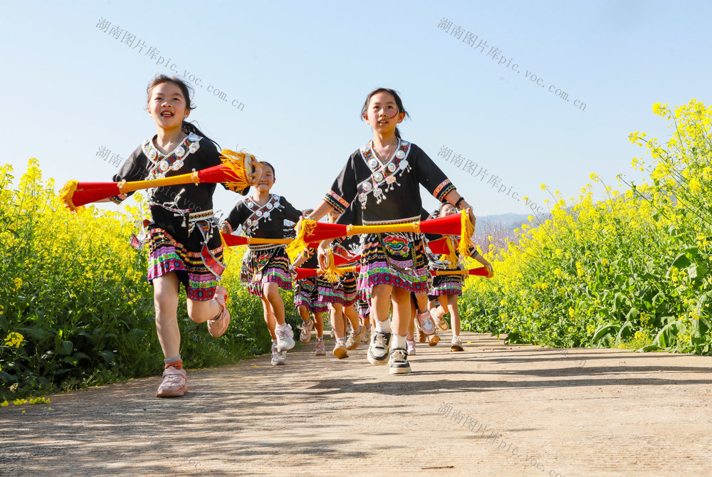研学  课堂  乐享  春光   油菜花