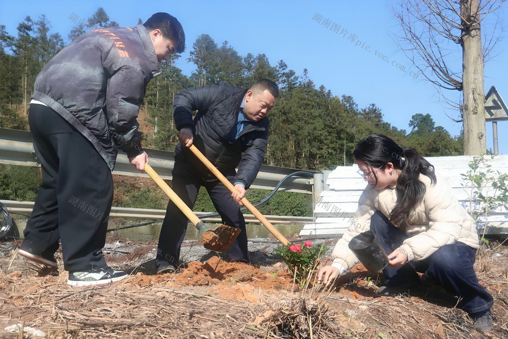 植树节  植树  春天  生态  纪检干部