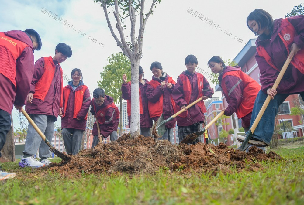 湖南道县：植树添新绿