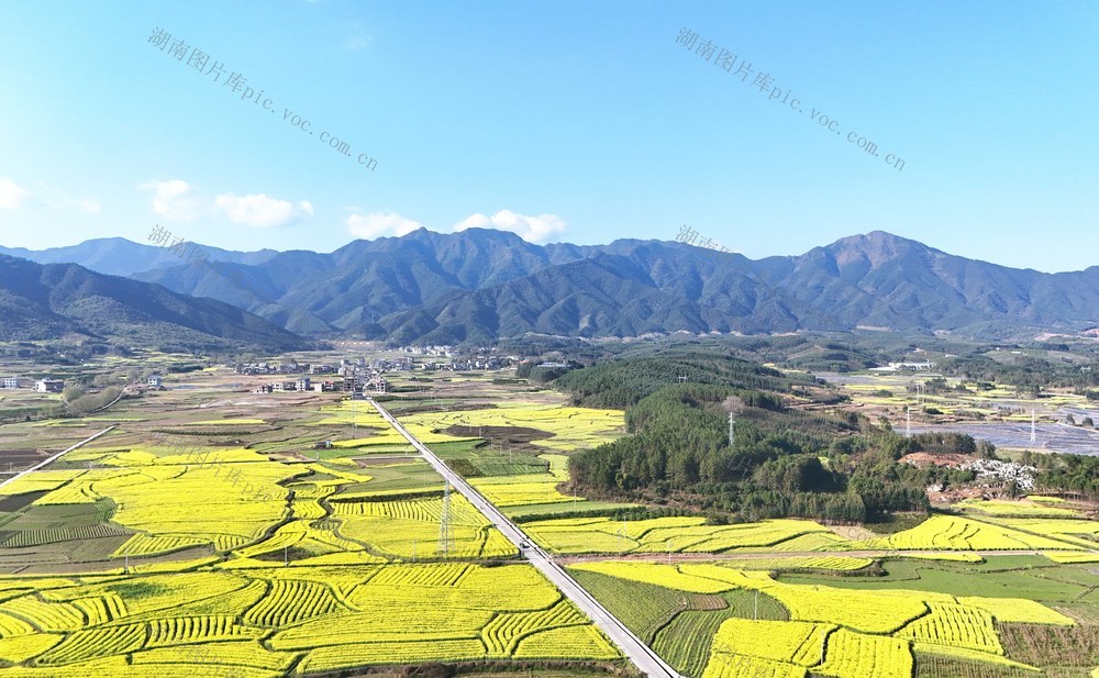 春日田园   色彩斑斓