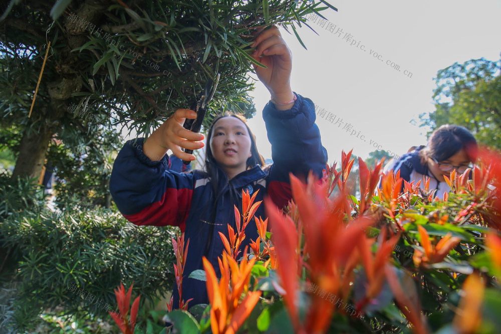 植树节 认领卡 修建 浇灌 手绘 绘画 职业 绿色发展 校园 环保意识